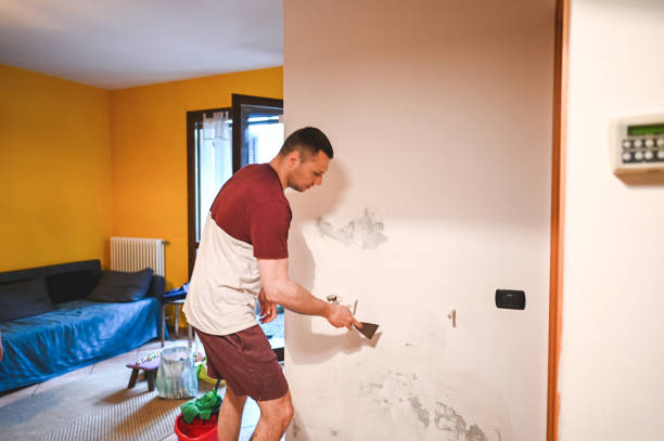 Best Water Damage Restoration  in Brownville, NJ