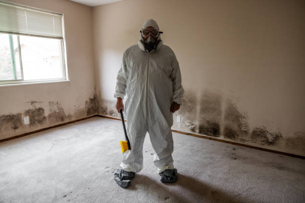 Best Crawl Space Mold Removal  in Brownville, NJ